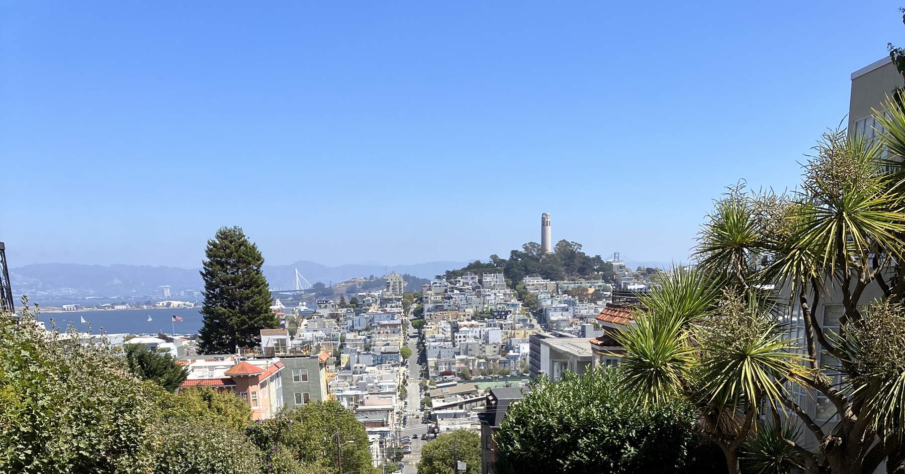 San Francisco skyline viewed from above Fillmore Street